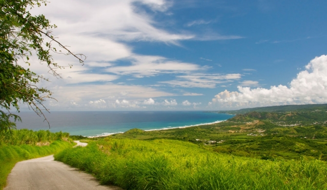 Hiking in Barbados- Cherry Tree Hill