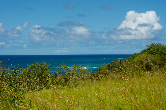 View from the grounds of Harrison Point Light House Barbados