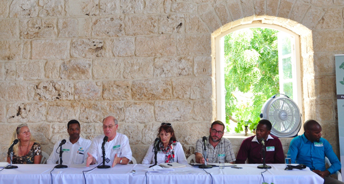 The Panel at The Green Summit