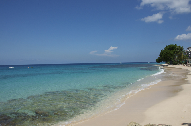 Paynes Bay Beach View Barbados