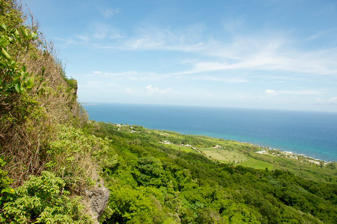View from Edge Cliff Barbados with Island Safari