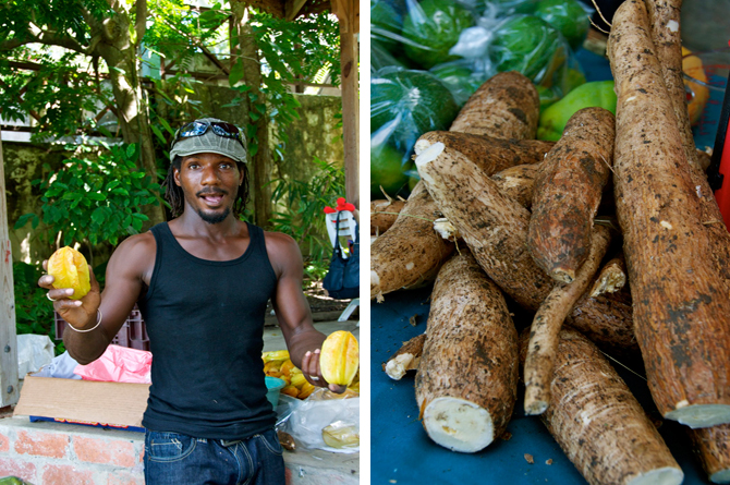 Holders Farmers Market Barbados