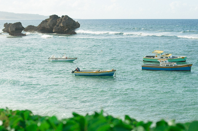 Time to catch some local fish - Barbados