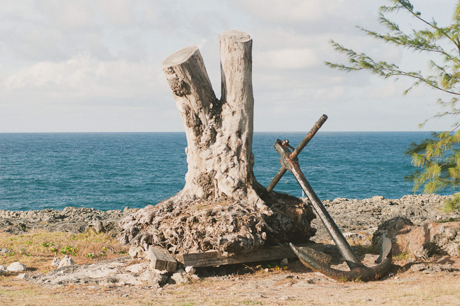 Natural Art in Barbados