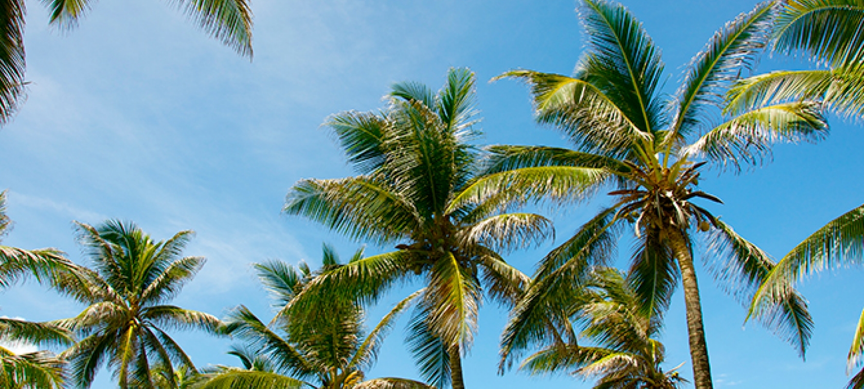 Hello: October | Loop Barbados