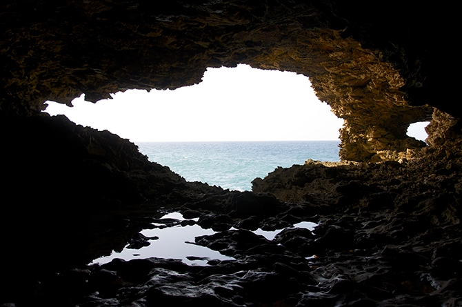 Animal Flower Cave, Barbados