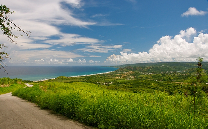 View from Cherry Tree Hill 