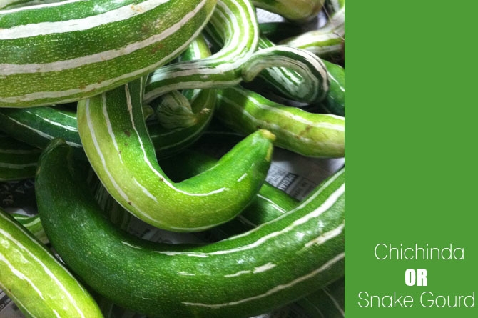 Chichina or Snake Gourd