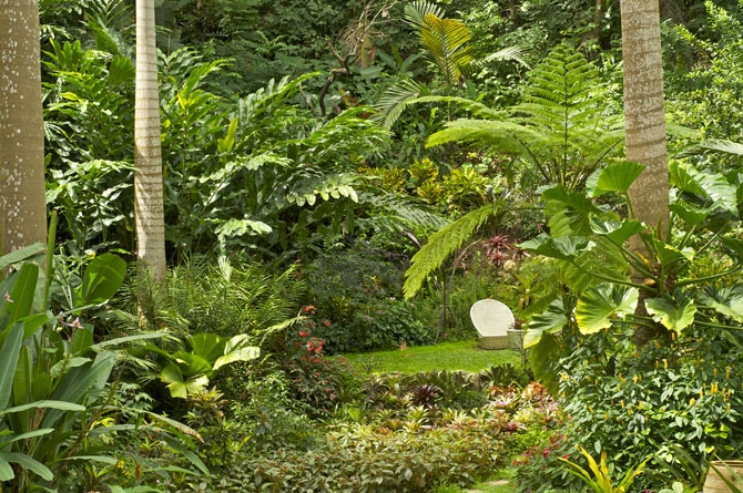 Hunte's gardens