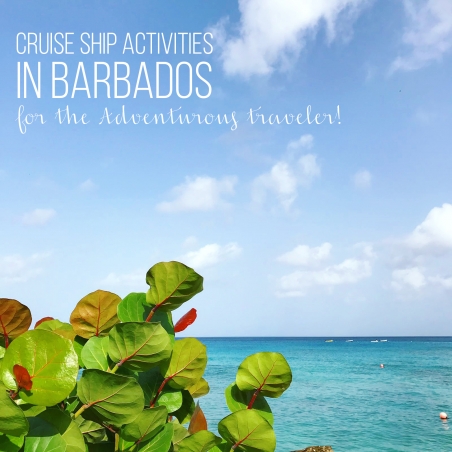 Activities in Barbados for the Adventurous traveler! 