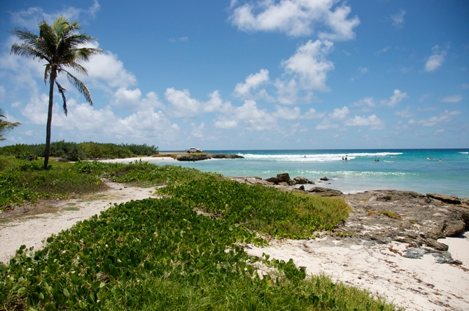 Inch Marlow Beach Barbados