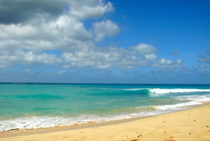 Ju Ju's Beach Barbados