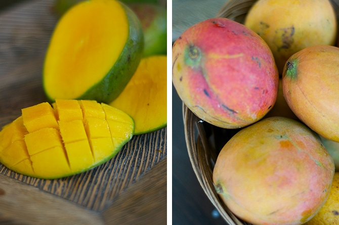 In Season: Mangos in Barbados