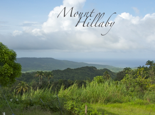 View from one of the points on Mount Hillaby Barbados