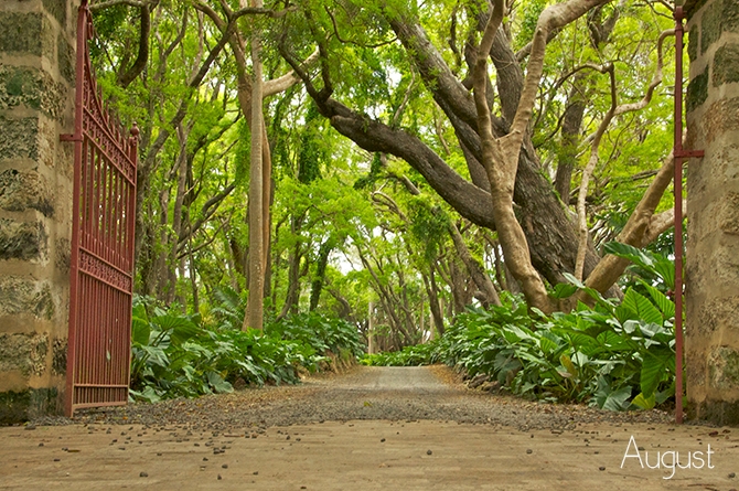 August Barbados