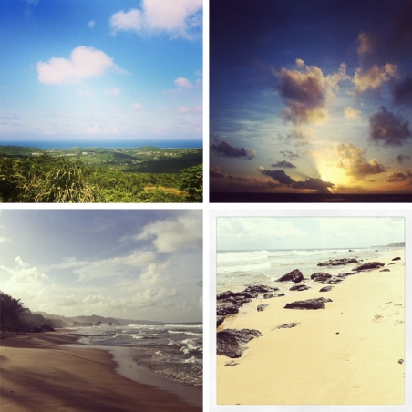 The Rugged East Coast of Barbados 