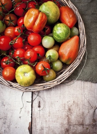 Fresh Organic Tomatoes