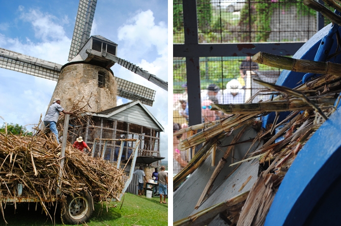 Morgan Lewis Windmill, Barbados