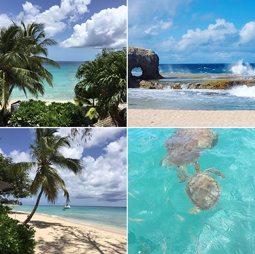 Crystal clear waters| Barbados 