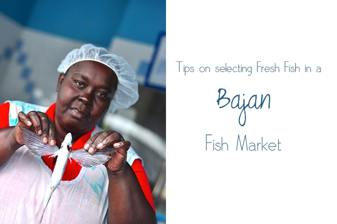 Tips on selecting fresh fish in a Bajan Fish Market