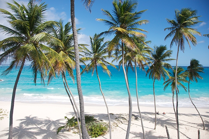 Bottom Bay Beach Barbados 