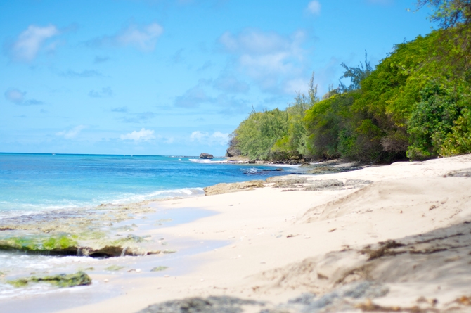 Barefoot on the beach: Maycock's Bay  Barbados 