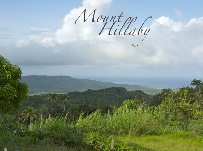 View from one of the points on Mount Hillaby Barbados