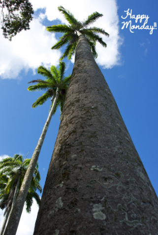 Royal Palms Barbados