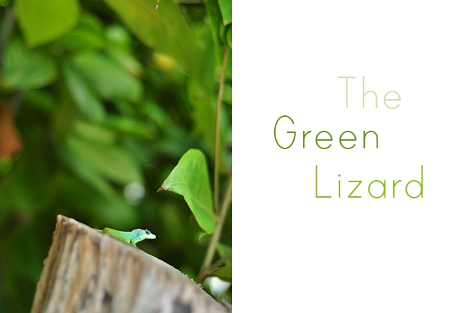 The Green Lizard Barbados
