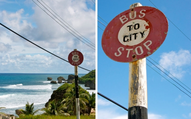 Barbados 101: Tips To Know Before Driving in Barbados