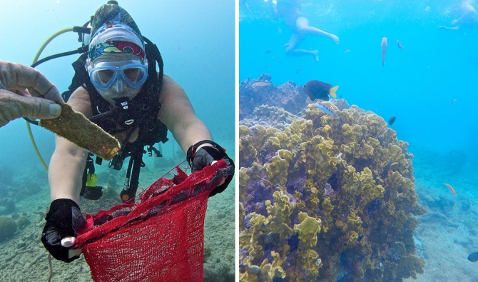 Underwater Clean Up in Barbados