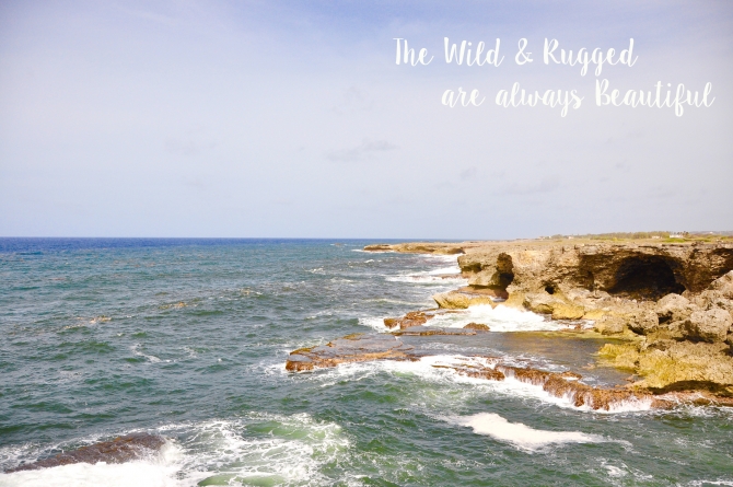 The Wild and Rugged North Coast of Barbados