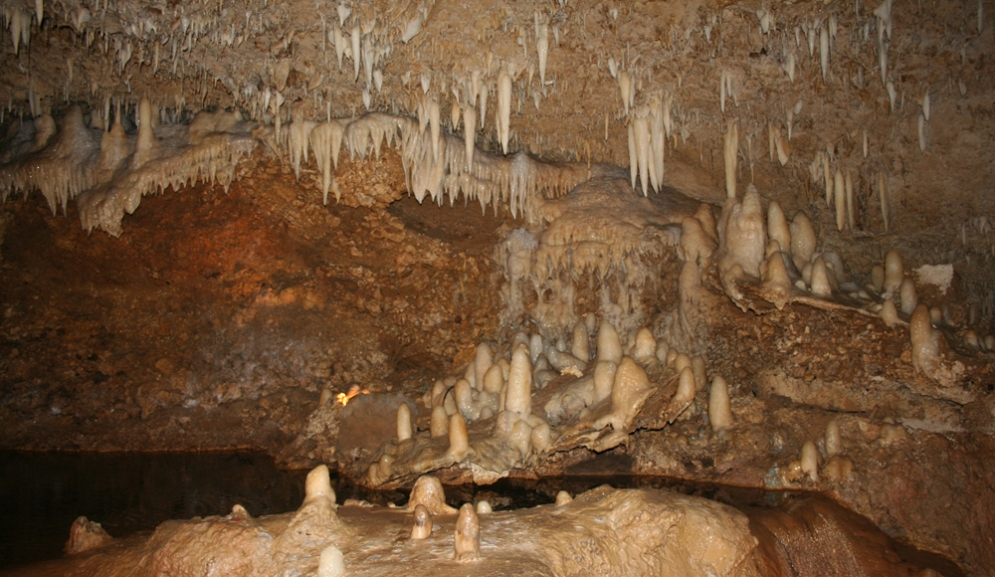 Suntours Barbados- Harrisons Cave