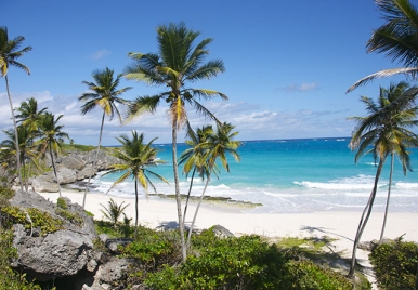 Beachy Head Beach Barbados