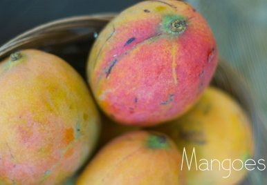 In Season: Mangoes | Barbados Fruit