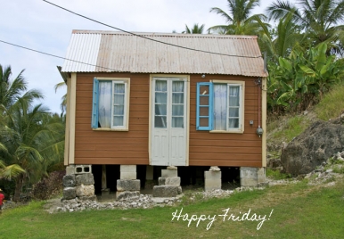 Happy Friday from Loop Barbados
