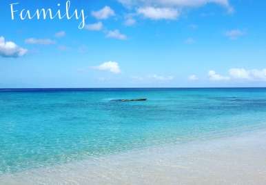 Top 5 Activities in Barbados Perfect for the Entire Family 