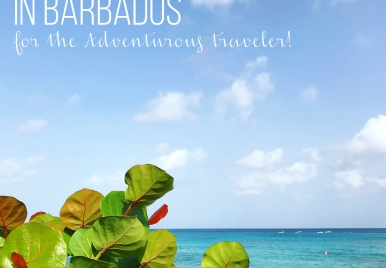 Activities in Barbados for the Adventurous traveler! 