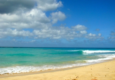 Ju Ju's Beach Barbados