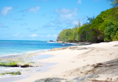 Barefoot on the beach: Maycock's Bay  Barbados 