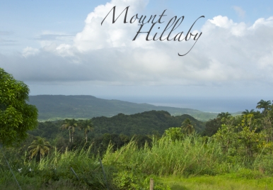 View from one of the points on Mount Hillaby Barbados