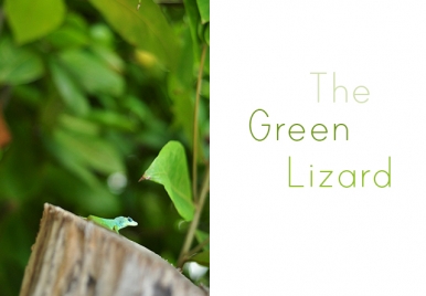 The Green Lizard Barbados