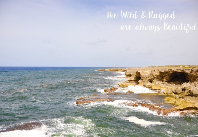 The Wild and Rugged North Coast of Barbados